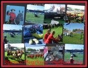 Spruce Meadows 2011 Collage