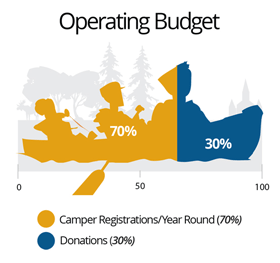 IVCF operating budget